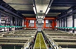 Anodizing Line