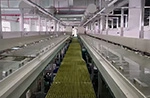Continuous Plating Line