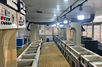 Manual Barrel Plating Line