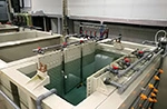 Passivation Line